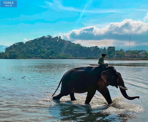 Trải nghiệm cưỡi voi hồ Lắk